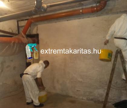 Tisztasági meszelés