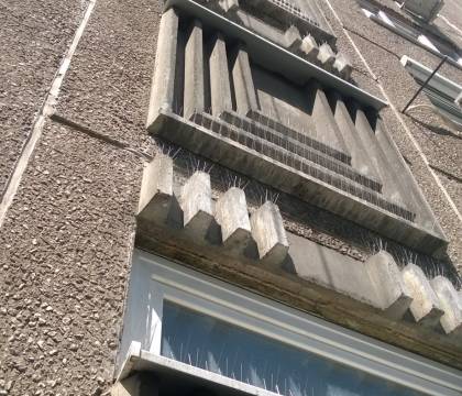  Galamb távoltartás