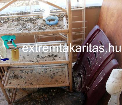 Galambriasztás védőhálózás riasztótüske felszerlés