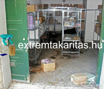 Árvíz utáni fertőtlenítő takarítás