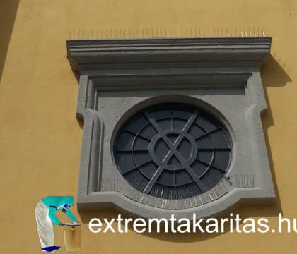 Galambriasztó tüske