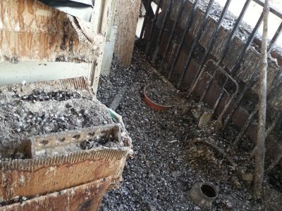 Miért veszélyes a galambürülék?